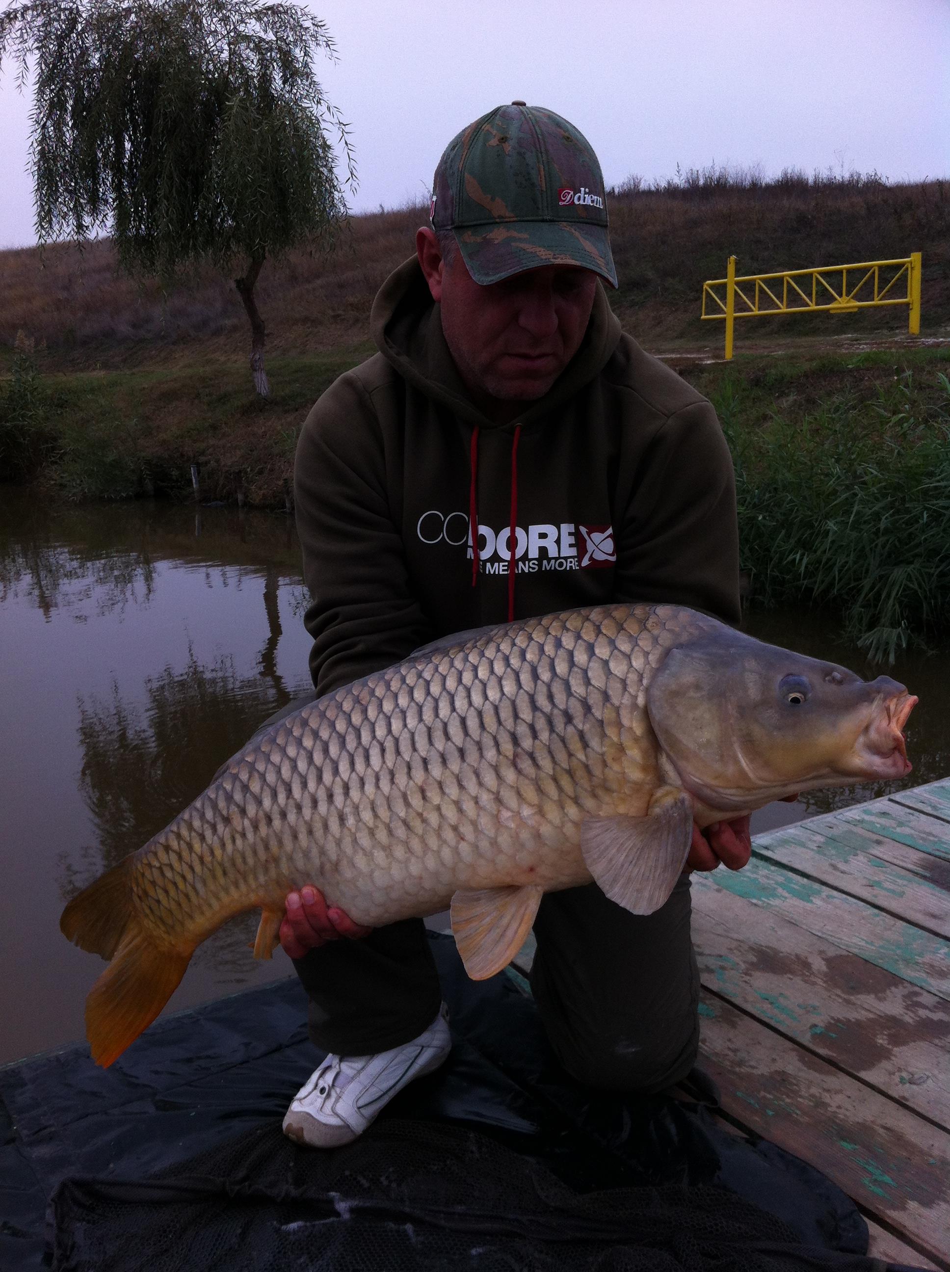 Moara Vlasiei - 2176.JPG